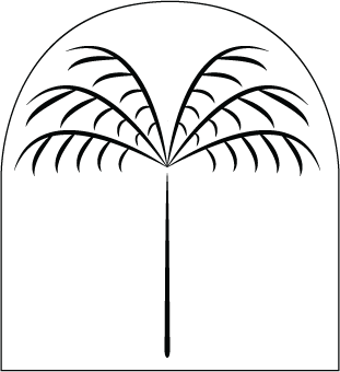 Paradise Everyday logo
