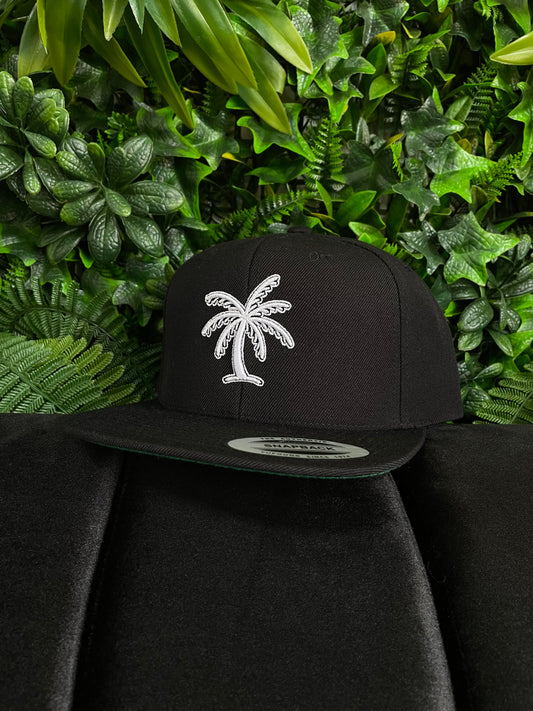 Black & White Palm Snapback